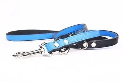 Yogipet - Laisse Ajustable 2/220cm Pour Chien - Bleu
