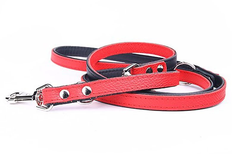 Yogipet - Laisse Ajustable 2/220cm Pour Chien - Rouge 2 Yogipet - Laisse Ajustable 2/220cm Pour Chien - Rouge – Image 2