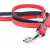 Yogipet - Laisse Ajustable 2/220cm Pour Chien - Rouge