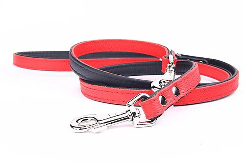 Yogipet - Laisse Ajustable 1,6/220cm Pour Chien - Rouge 3 Yogipet - Laisse Ajustable 1,6/220cm Pour Chien - Rouge – Image 3