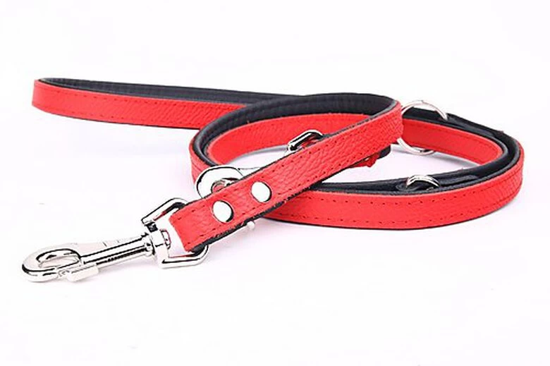 Yogipet - Laisse Ajustable 1,6/220cm Pour Chien - Rouge 5 Yogipet - Laisse Ajustable 1,6/220cm Pour Chien - Rouge – Image 5