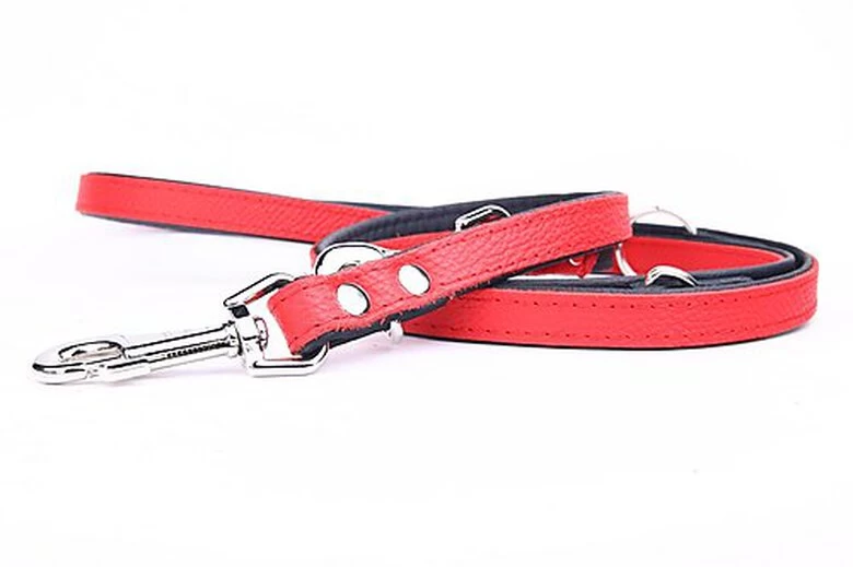 Yogipet - Laisse Ajustable 1,6/220cm Pour Chien - Rouge 4 Yogipet - Laisse Ajustable 1,6/220cm Pour Chien - Rouge – Image 4
