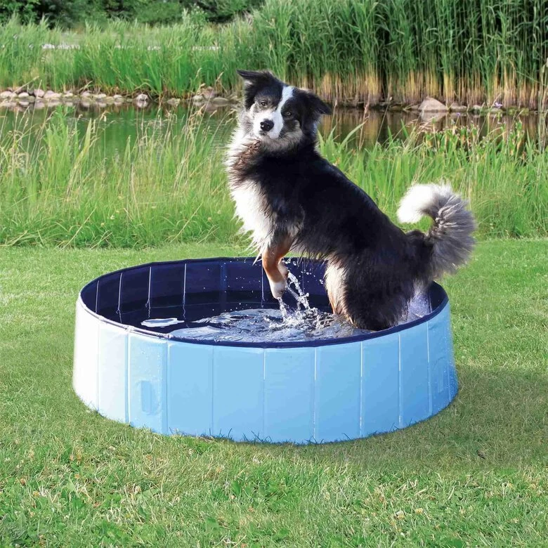 Trixie - Piscine Bleu Pour Chien - 80 × 20 Cm 2 Trixie - Piscine Bleu Pour Chien - 80 × 20 Cm – Image 2