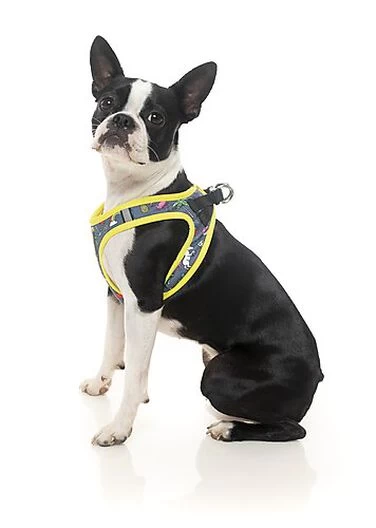 FuzzYard - Harnais Coachella Pour Chien - XL 6 FuzzYard - Harnais Coachella Pour Chien - XL – Image 6