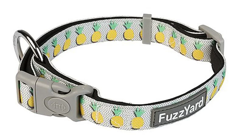 FuzzYard - Collier Piña Colada Pour Chien - M 1 FuzzYard - Collier Piña Colada Pour Chien - M