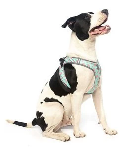 FuzzYard - Harnais Summer Punch Pour Chien - L -Pet Soldes 43257