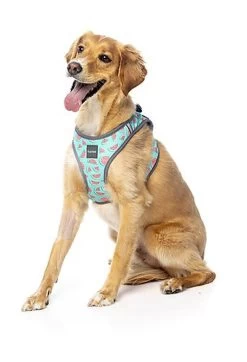 FuzzYard - Harnais Summer Punch Pour Chien - L -Pet Soldes 43259