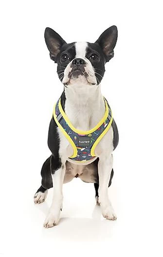 FuzzYard - Harnais Coachella Pour Chien - XL 2 FuzzYard - Harnais Coachella Pour Chien - XL – Image 2
