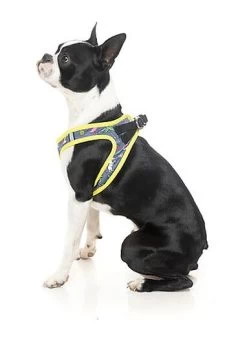 FuzzYard - Harnais Coachella Pour Chien - XL 10 FuzzYard - Harnais Coachella Pour Chien - XL -Pet Soldes 43262