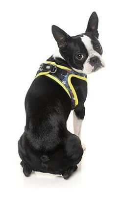 FuzzYard - Harnais Coachella Pour Chien - XL 9 FuzzYard - Harnais Coachella Pour Chien - XL -Pet Soldes 43264