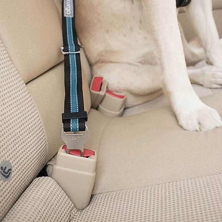 Kurgo - Attache Sécurité Direct Seat-belt Voiture Pour Chien - Bleu 2 Kurgo - Attache Sécurité Direct Seat-belt Voiture Pour Chien - Bleu – Image 2
