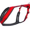 Kyflie - Harnais OTIUM Canicross De Traction Pour Chien T4 - Rouge