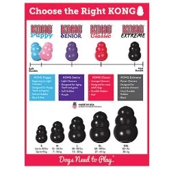 KONG - Jouet Extreme Pour Chien -Pet Soldes 45858