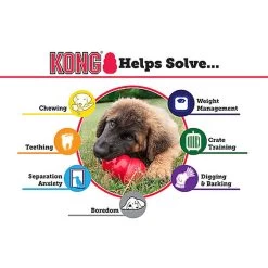 KONG - Jouet Classic En Caoutchouc Pour Chien - L -Pet Soldes 45873