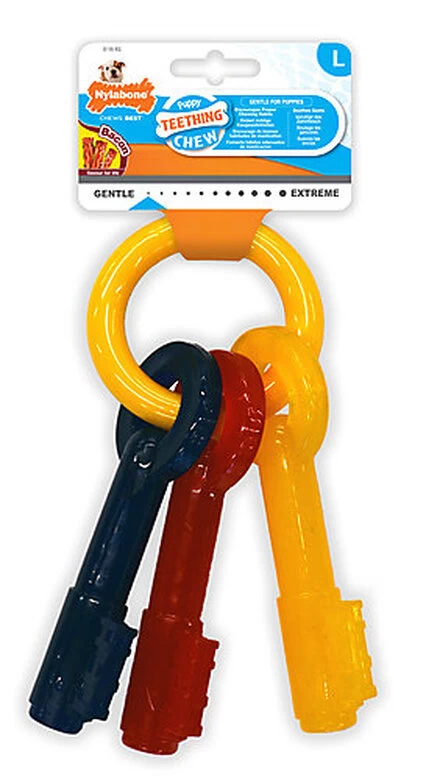 Anka - Jouet Nylabone Puppy Clefs Au Bacon Pour Chiot - M 1 Anka - Jouet Nylabone Puppy Clefs Au Bacon Pour Chiot - M