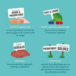 Edgard & Cooper - Croquettes Au Poulet Et Saumon Pour Chien - 2,5Kg 12 Edgard & Cooper - Croquettes Au Poulet Et Saumon Pour Chien - 2,5Kg -Pet Soldes 46584