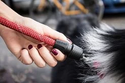 Goleygo - Laisse Ronde Réglable Rouge Pour Chien - M -Pet Soldes 47747