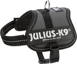 Julius-K9 - Harnais Baby 2XS De 33-45cm Pour Chien - Anthracite