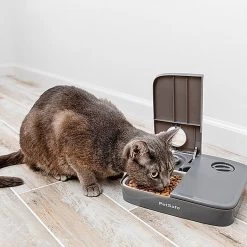 PetSafe - Distributeur Automatique 2 Repas Pour Chien Et Chat -Pet Soldes 50567