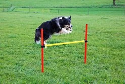 Kerbl - Kit Complet Agility Pour Chiens 9 Kerbl - Kit Complet Agility Pour Chiens -Pet Soldes 51524