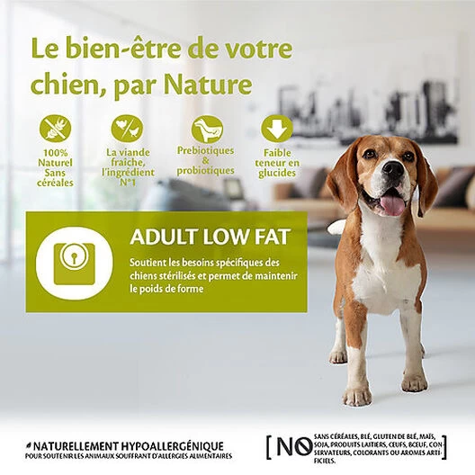 Wellness CORE - Croquettes Light à La Dinde Pour Chien - 10Kg 2 Wellness CORE - Croquettes Light à La Dinde Pour Chien - 10Kg – Image 2