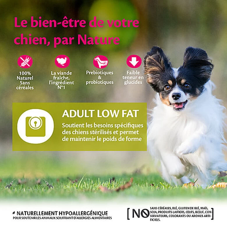 Wellness CORE - Croquettes Light Poulet Et Dinde Pour Chien De Petite Race - 5Kg 2 Wellness CORE - Croquettes Light Poulet Et Dinde Pour Chien De Petite Race - 5Kg – Image 2
