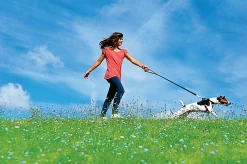 Zolux - Harnais De Sécurité Auto Pour Chien -Pet Soldes 6490