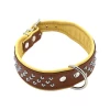 Comme Un Roi - Collier Cuir Clouté So Chic Caramel Pour Chien - XL