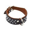 Comme Un Roi - Collier Cuir Clouté So Chic Noir Pour Chien - XXL