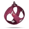Curli - Harnais Veste Boucle Curli Clasp Ruby Pour Chien - S