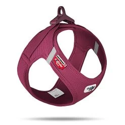 Curli - Harnais Veste Boucle Curli Clasp Ruby Pour Chien - S