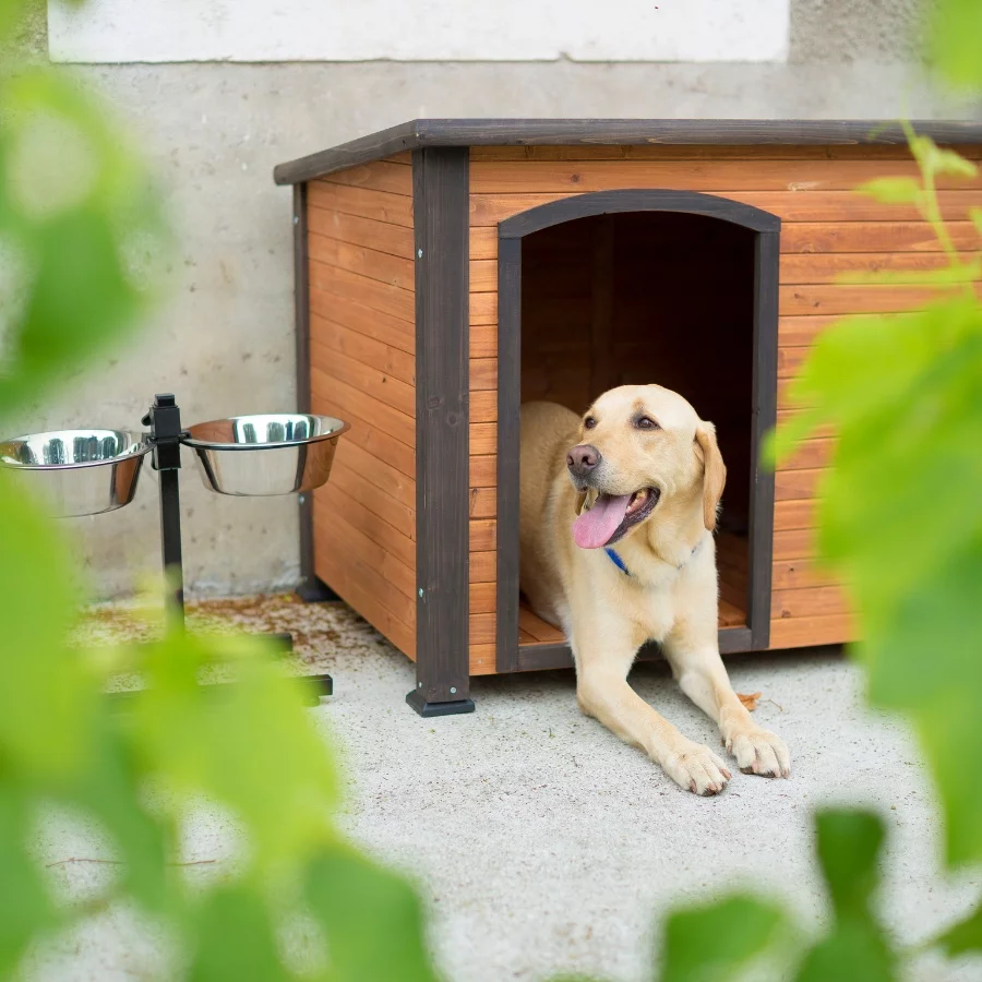 Pet Soldes -Pet Soldes 650a968287ff7 animalerie chien niches et parcs pour chien