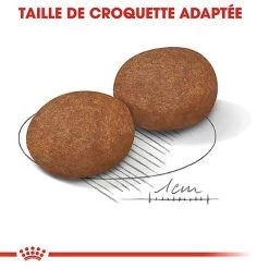 Royal Canin - Croquettes Medium Adulte 7+ Pour Chien -Pet Soldes 66800