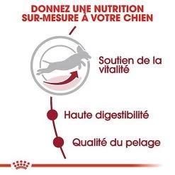 Royal Canin - Croquettes Medium Adulte 7+ Pour Chien -Pet Soldes 66802