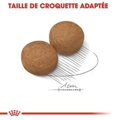 Royal Canin - Croquettes Maxi Adult Pour Chien -Pet Soldes 66830