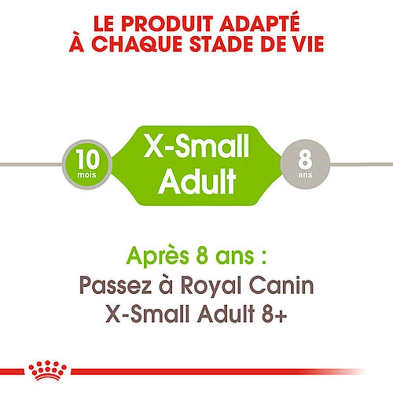 Royal Canin - Croquettes X-Small Pour Chien Adulte De Petite Taille - 1,5Kg 3 Royal Canin - Croquettes X-Small Pour Chien Adulte De Petite Taille - 1,5Kg – Image 3