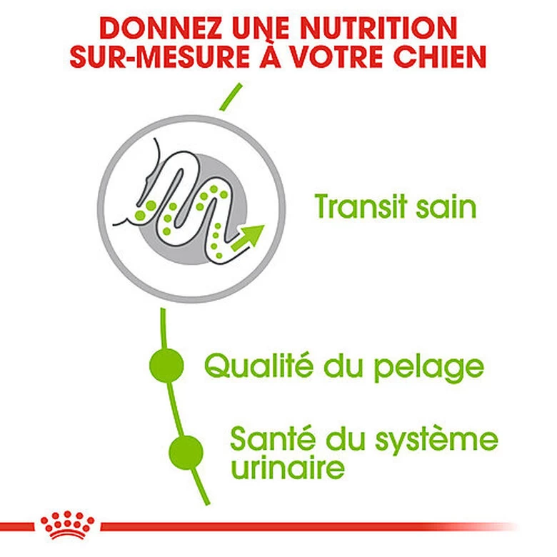 Royal Canin - Croquettes X-Small Pour Chien Adulte De Petite Taille - 1,5Kg 4 Royal Canin - Croquettes X-Small Pour Chien Adulte De Petite Taille - 1,5Kg – Image 4