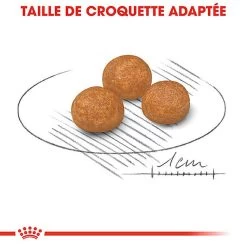 Royal Canin - Croquettes X-Small Pour Chien Adulte De Petite Taille - 1,5Kg 11 Royal Canin - Croquettes X-Small Pour Chien Adulte De Petite Taille - 1,5Kg -Pet Soldes 66884