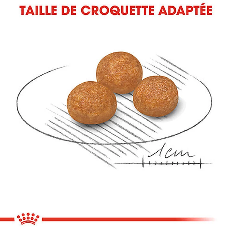 Royal Canin - Croquettes X-Small Pour Chien Adulte De Petite Taille - 1,5Kg 5 Royal Canin - Croquettes X-Small Pour Chien Adulte De Petite Taille - 1,5Kg – Image 5