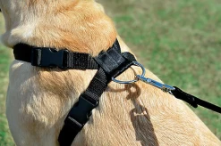 Zolux - Harnais De Sécurité Auto Pour Chien -Pet Soldes 6691