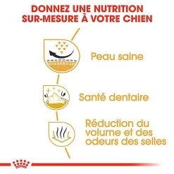 Royal Canin - Croquettes Shih Tzu Pour Chien Adulte - 3Kg -Pet Soldes 66923