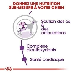 Royal Canin - Croquettes Giant Adult Pour Chien - 15Kg -Pet Soldes 66953