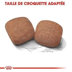Royal Canin - Croquettes Giant Adult Pour Chien - 15Kg -Pet Soldes 66954