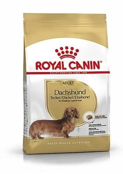 Royal Canin - Croquettes Teckel Pour Chien Adulte - 1,5Kg
