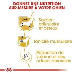 Royal Canin - Croquettes Teckel Pour Chien Adulte - 1,5Kg 6 Royal Canin - Croquettes Teckel Pour Chien Adulte - 1,5Kg -Pet Soldes 67101