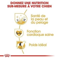 Royal Canin - Croquettes Golden Retriever Pour Chien Adulte 11 Royal Canin - Croquettes Golden Retriever Pour Chien Adulte -Pet Soldes 67282