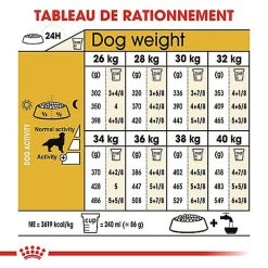 Royal Canin - Croquettes Golden Retriever Pour Chien Adulte 12 Royal Canin - Croquettes Golden Retriever Pour Chien Adulte -Pet Soldes 67283