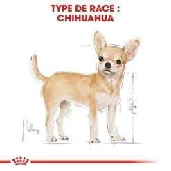 Royal Canin - Croquettes Chihuahua Pour Chien Adulte -Pet Soldes 67347