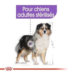 Royal Canin - Croquettes Medium Sterilised Pour Chien Stérilisé - 3Kg -Pet Soldes 67578