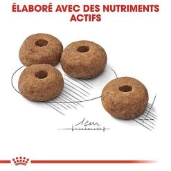 Royal Canin - Croquettes Medium Sterilised Pour Chien Stérilisé - 3Kg -Pet Soldes 67580